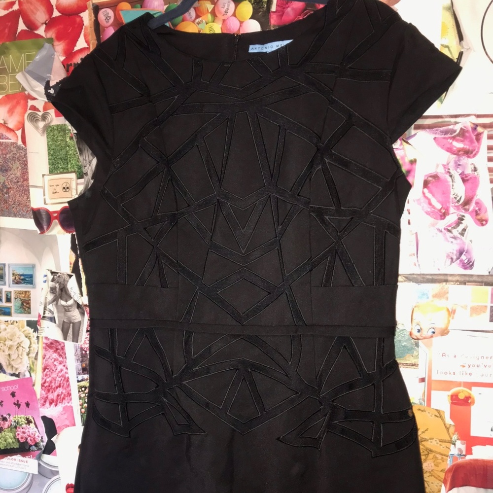 ANTONIO MELANI Black Dress Size 14